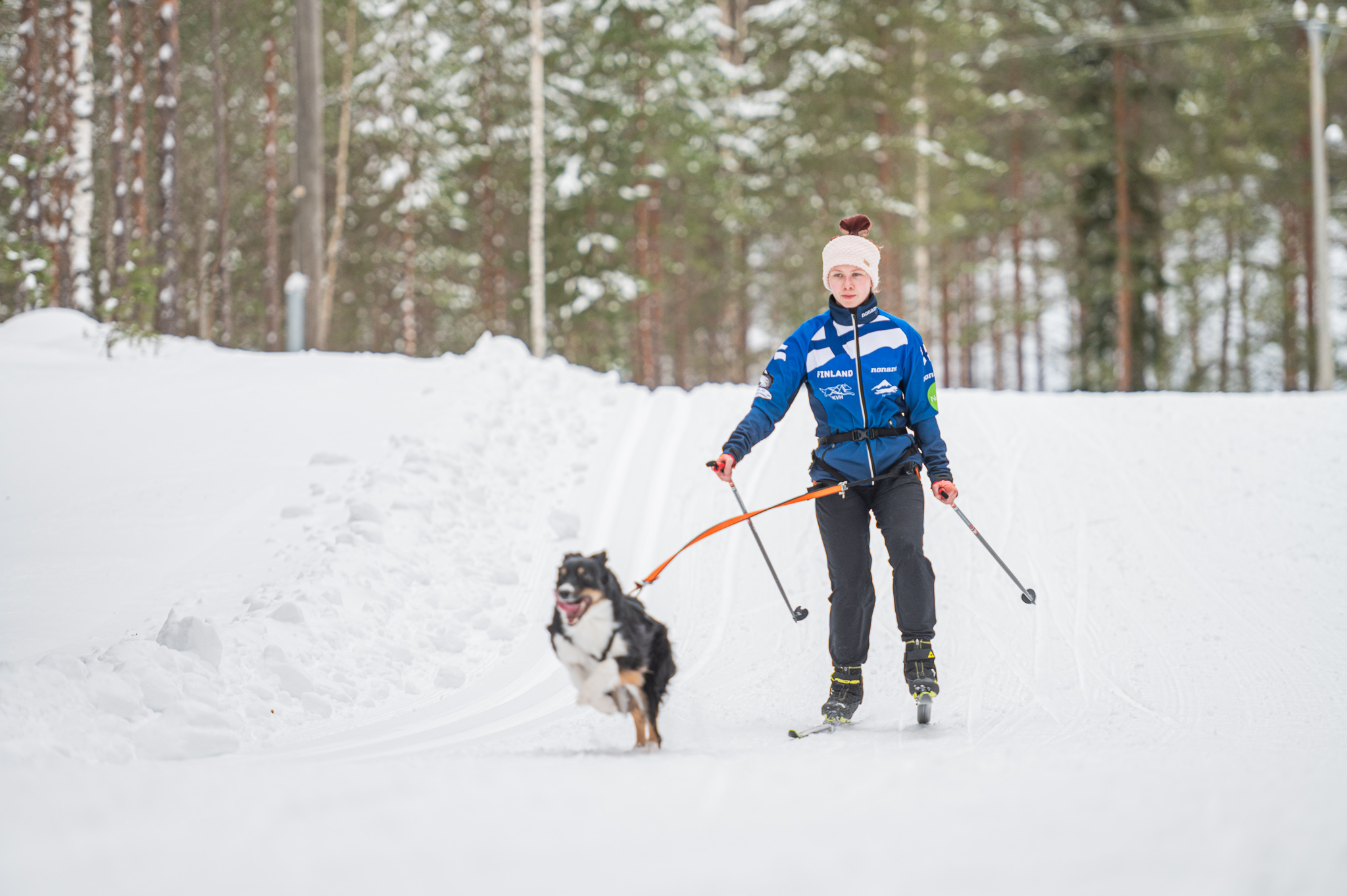 Hiihtäjä ja koira ladulla