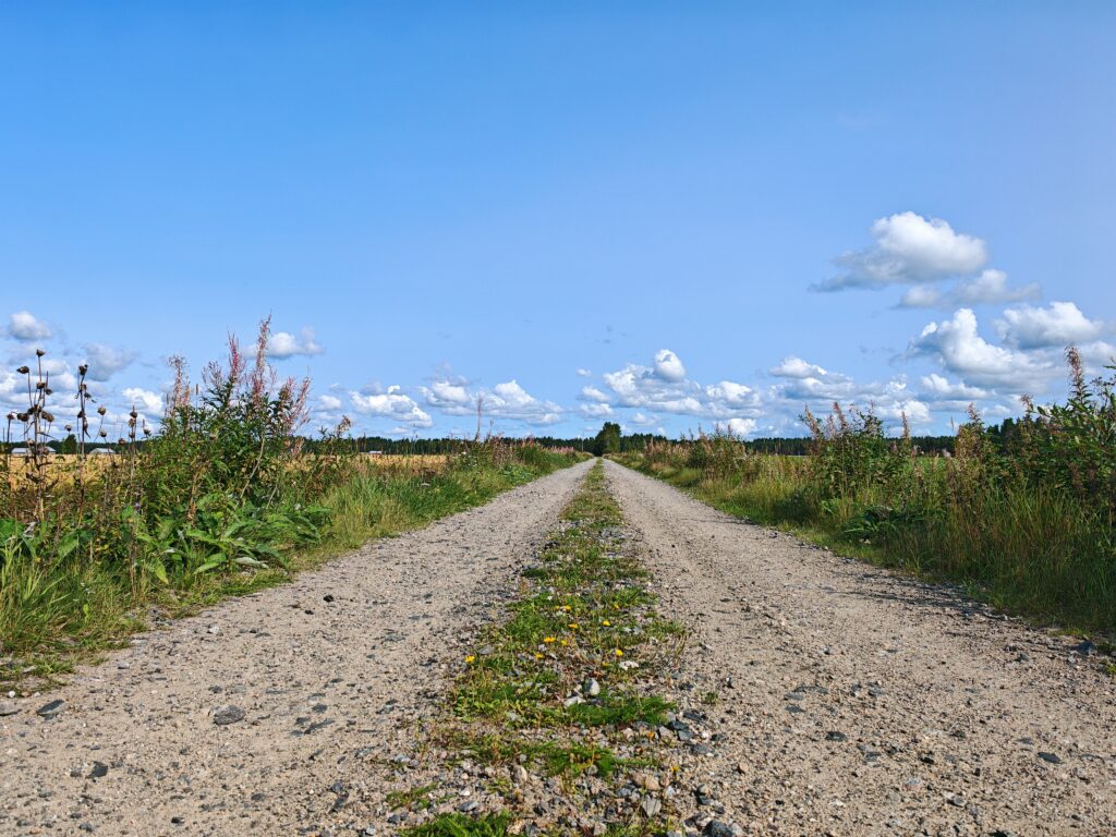Metsätie ja sininen taivas kesällä
